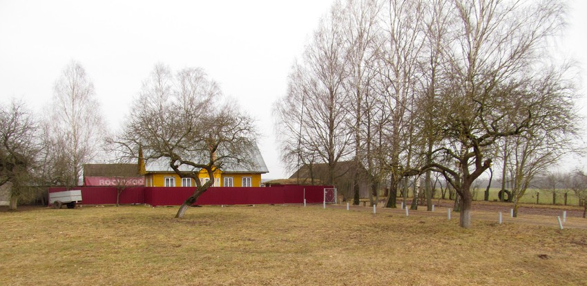 Дом в деревне Петровичи.