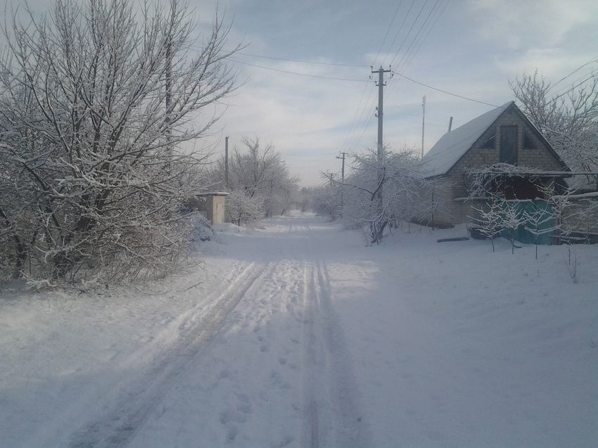 Зима 2015