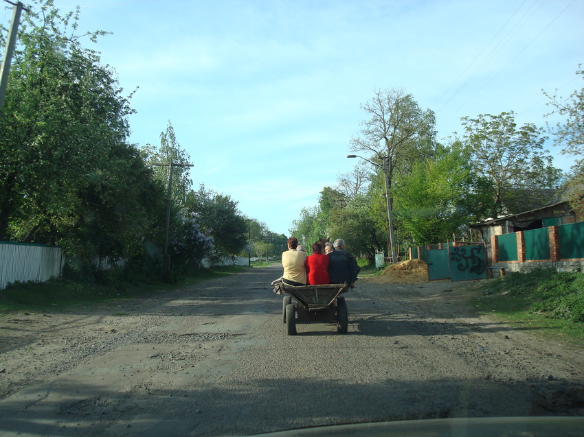 Утро в Краснополе