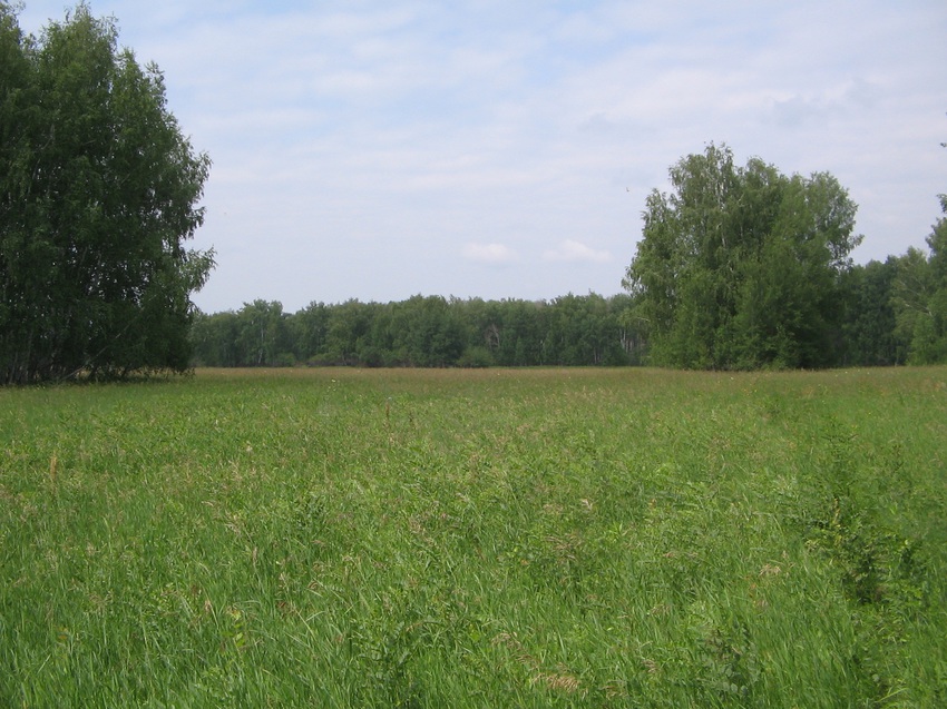 Село подойниково. Подойниково Панкрушихинский район. Село Подойниково Панкрушихинский район Алтайский край. Село Луковка Панкрушихинский район. Природа Панкрушихинского района.