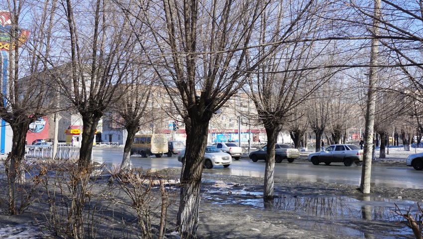 На Тагильской.