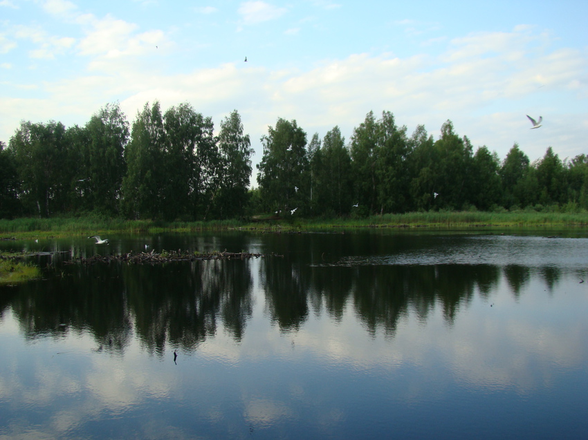 торфяное озеро