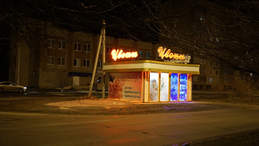 На улице Пацаева.