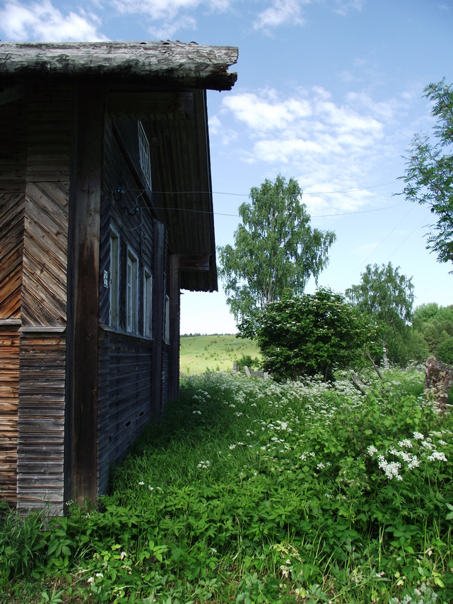 Д.Югра. Лето 2015