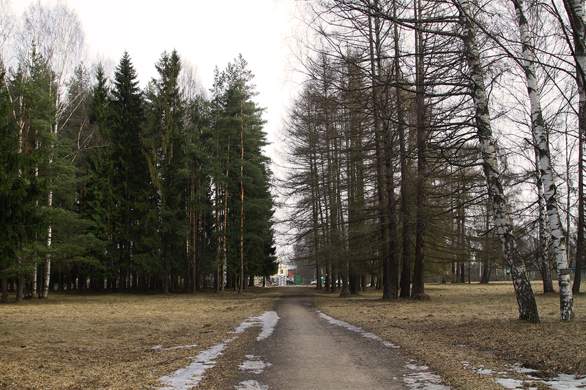 Павловский парк