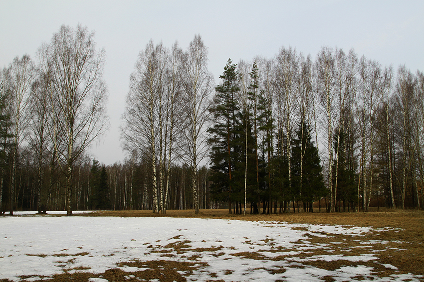 Павловский парк