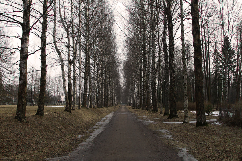 Павловский парк