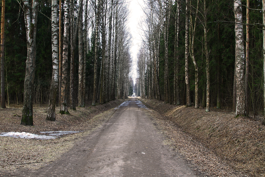 Павловский парк