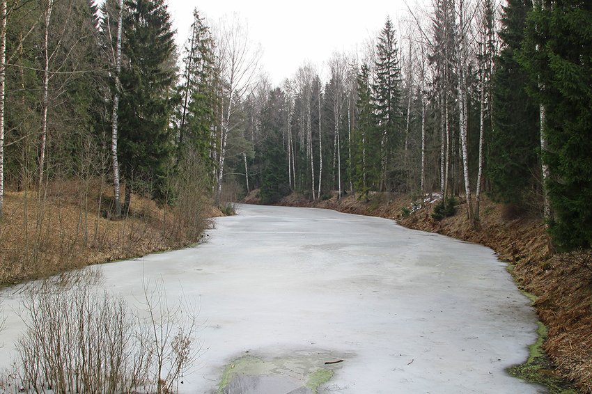 Павловский парк