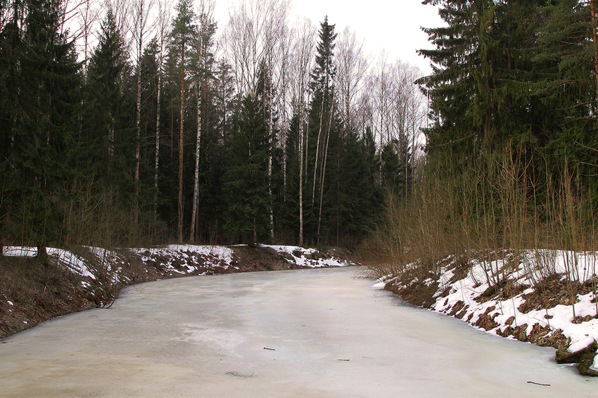 Павловский парк