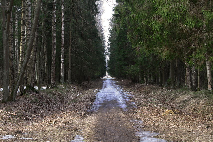 Павловский парк