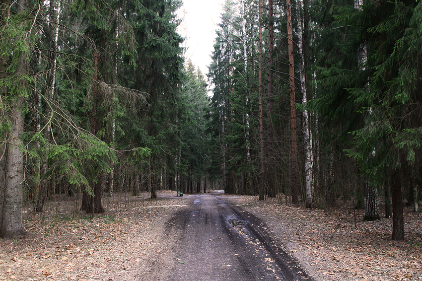 Павловский парк