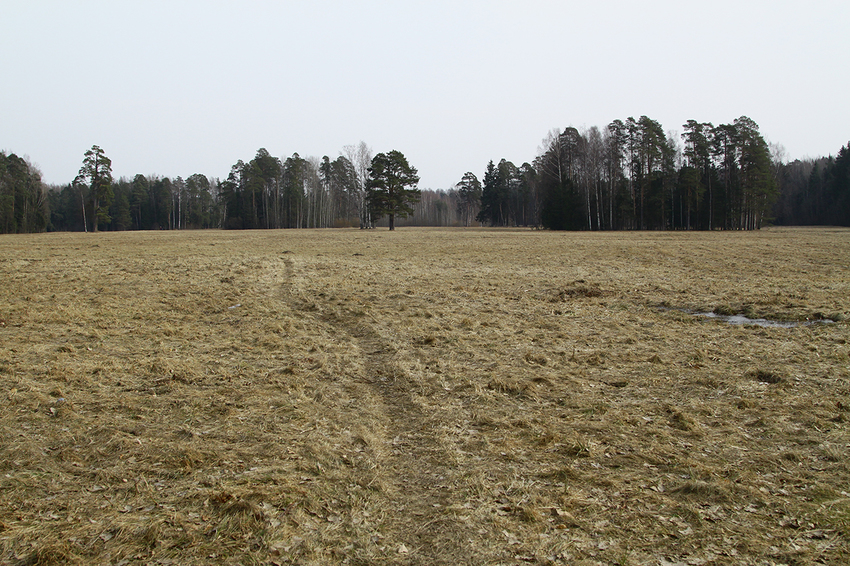 Павловский парк