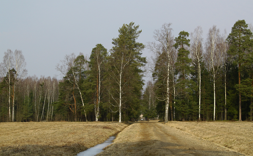 Павловский парк