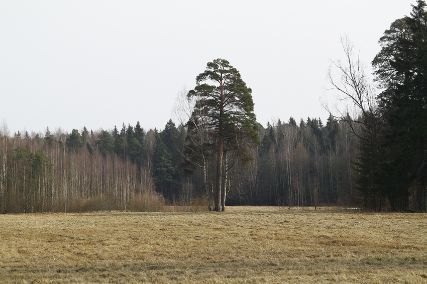Павловский парк