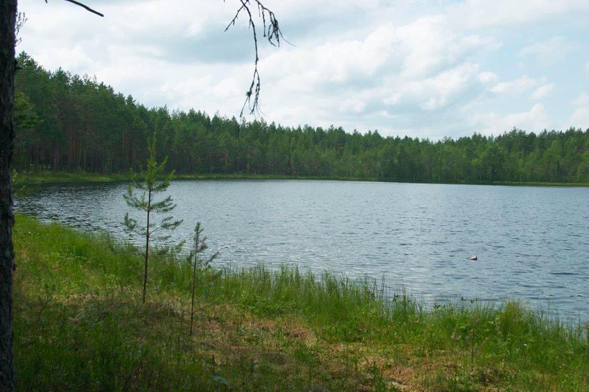 Белое озеро в районе села Нижний Енангск