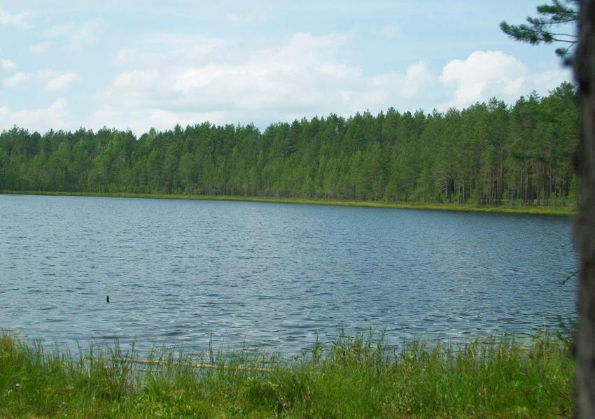 Белое озеро в районе села Нижний Енангск
