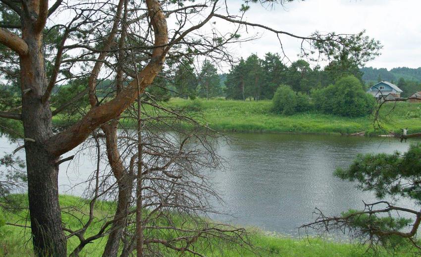 Вид на село от бора