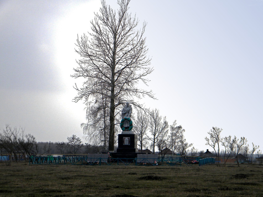 Братская могила  228 советских воинов