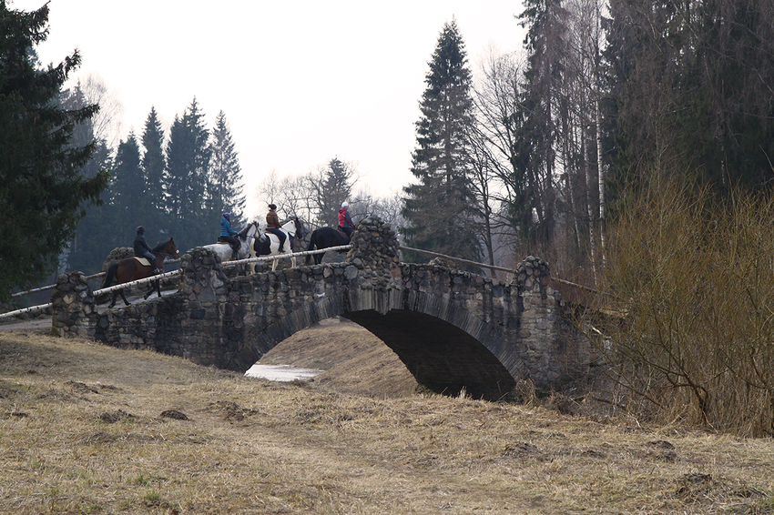 Новосильвийский мост