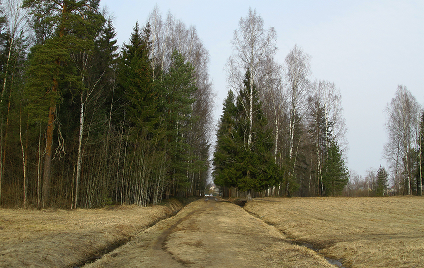Павловский парк