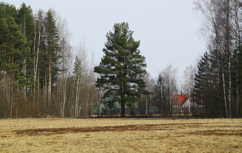Павловский парк