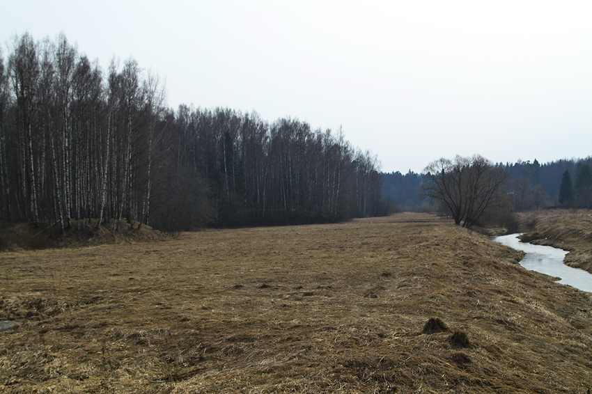 Павловский парк