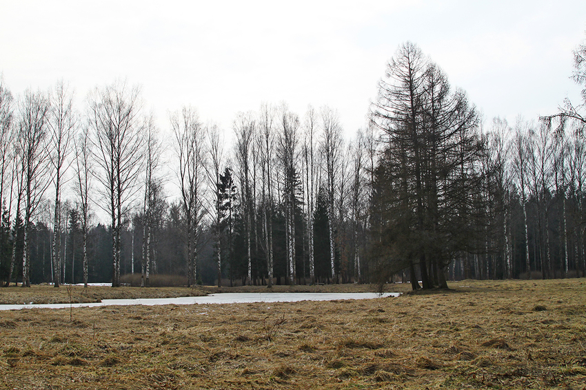 Павловский парк