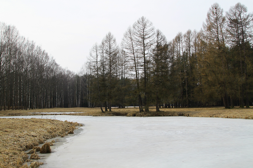 Павловский парк
