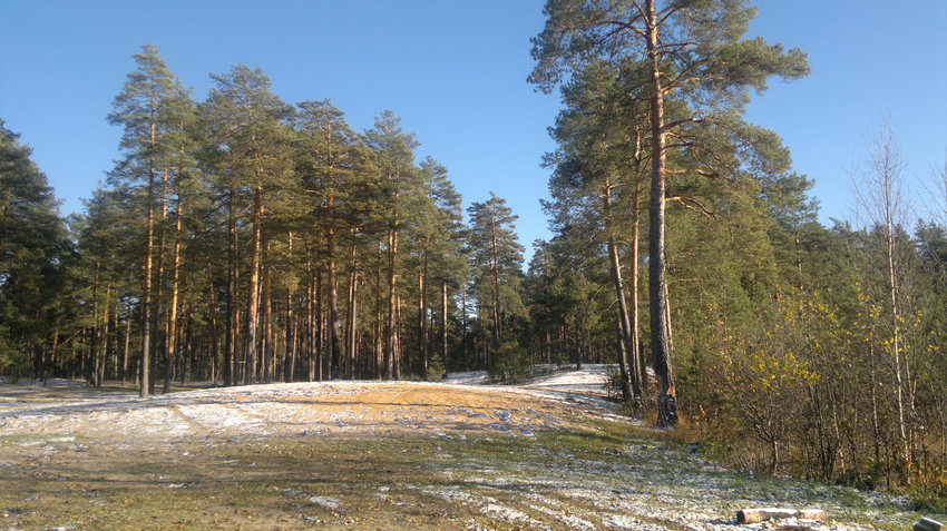 Степуринские леса