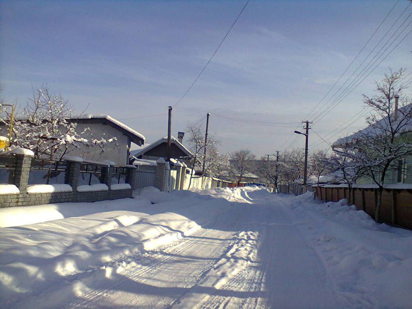 Фото Зимы 2014