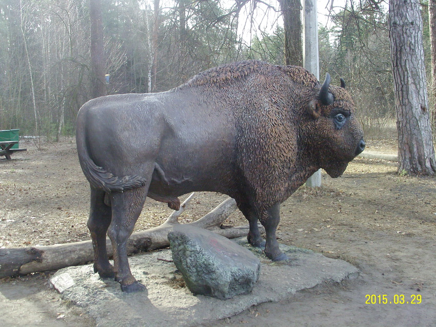 Памятник бизону (зубру)
