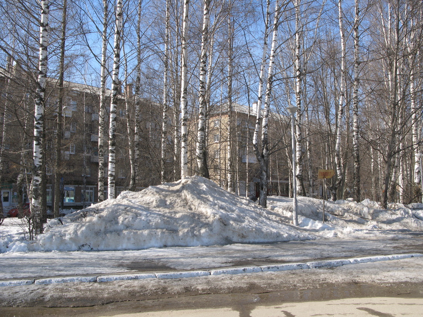 Сыктывкар 2015