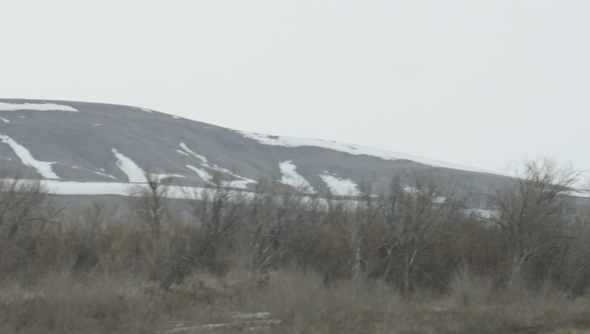 Оренбургские степи.