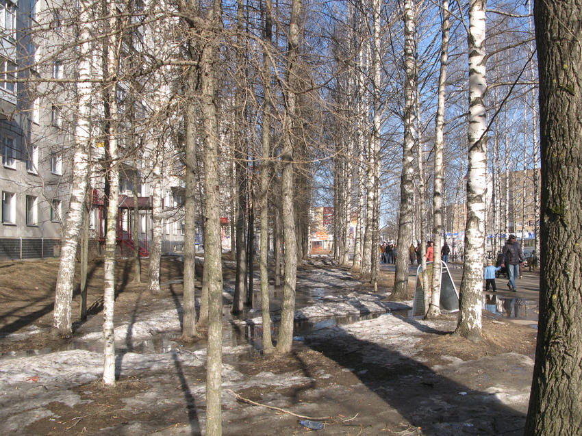 Сыктывкар 2015