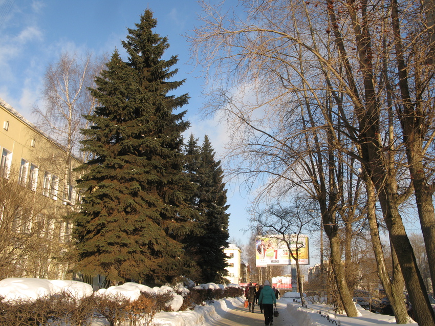 Сыктывкар 2015 - ул. Коммунистическая