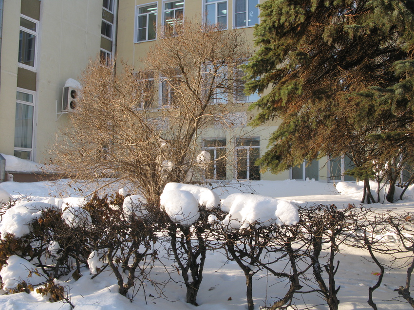 Сыктывкар 2015 - ул. Коммунистическая