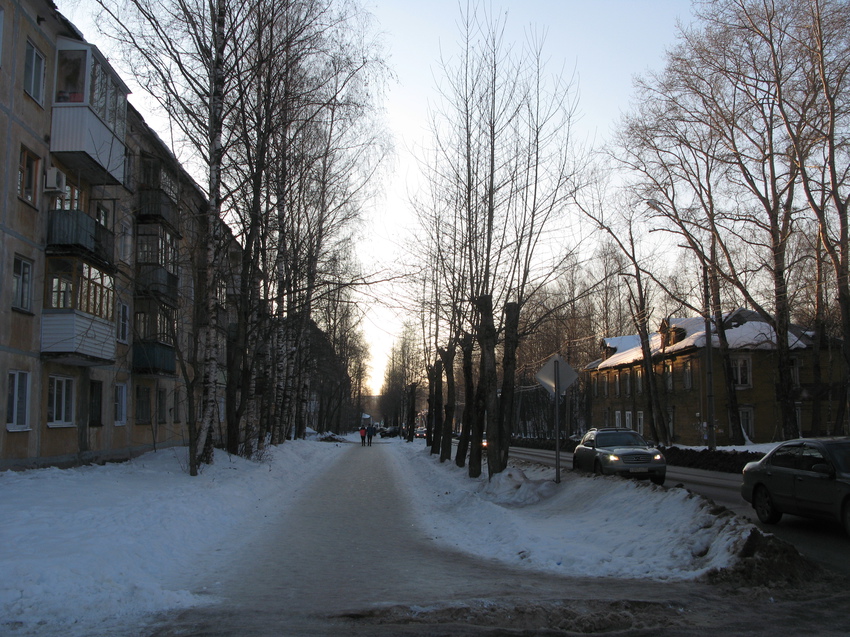 Сыктывкар 2015 - ул. Оплеснина