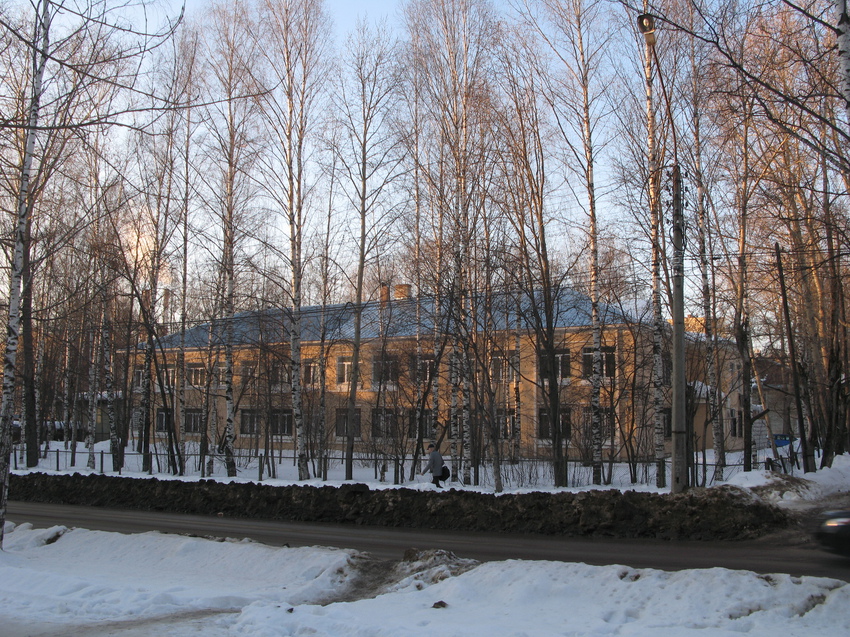 Сыктывкар 2015 - ул. Оплеснина