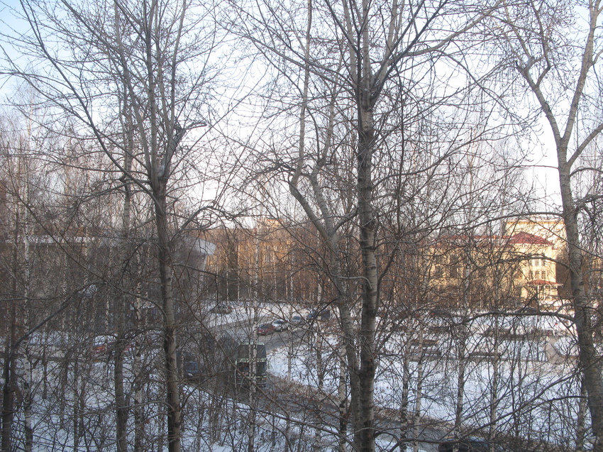 Сыктывкар 2015 - ул. Оплеснина