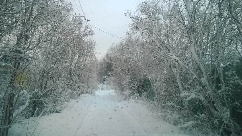 зимняя дорога по деревне