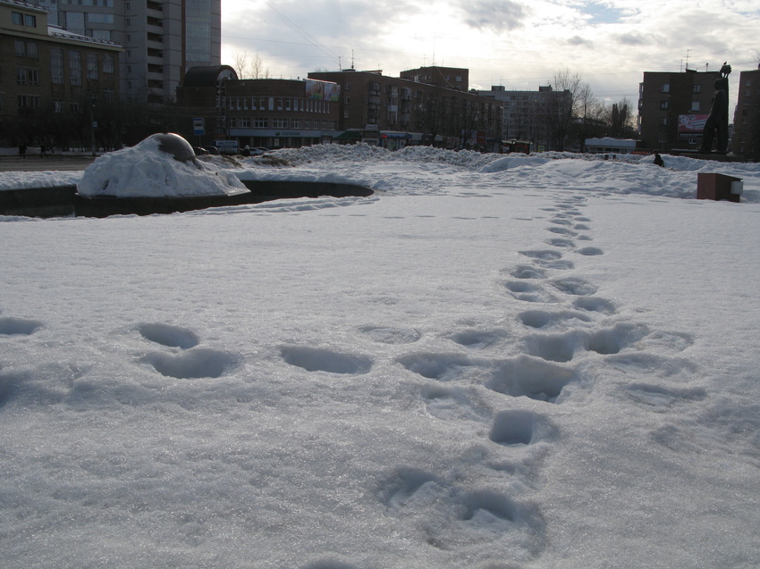 Сыктывкар 2015