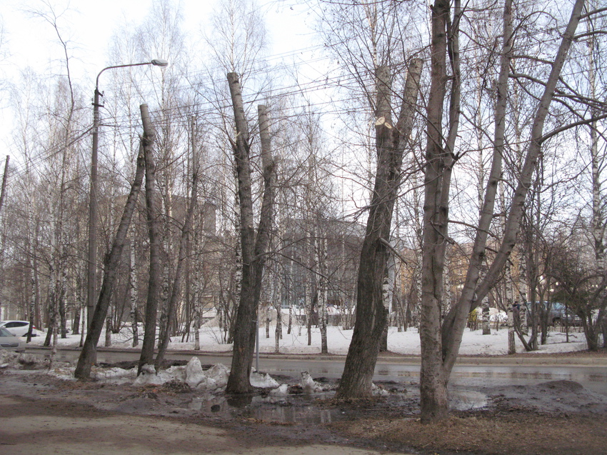 Сыктывкар 2015 - ул. Коммунистическая