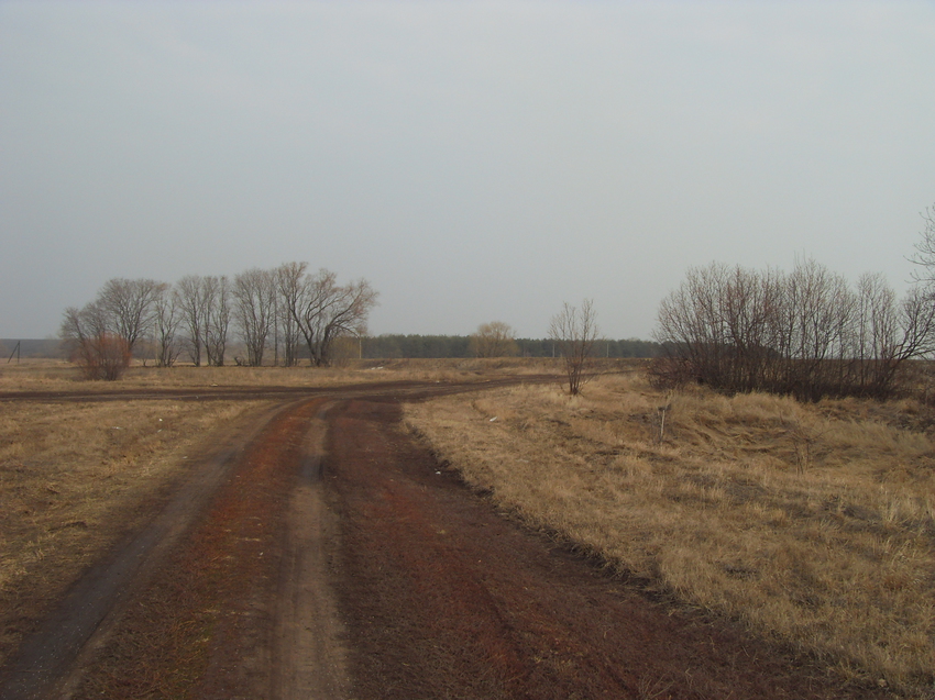 Кубань. Грунтовая дорога вдоль трассы