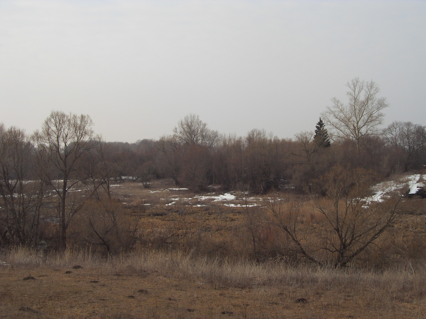 Вид за территорией базы