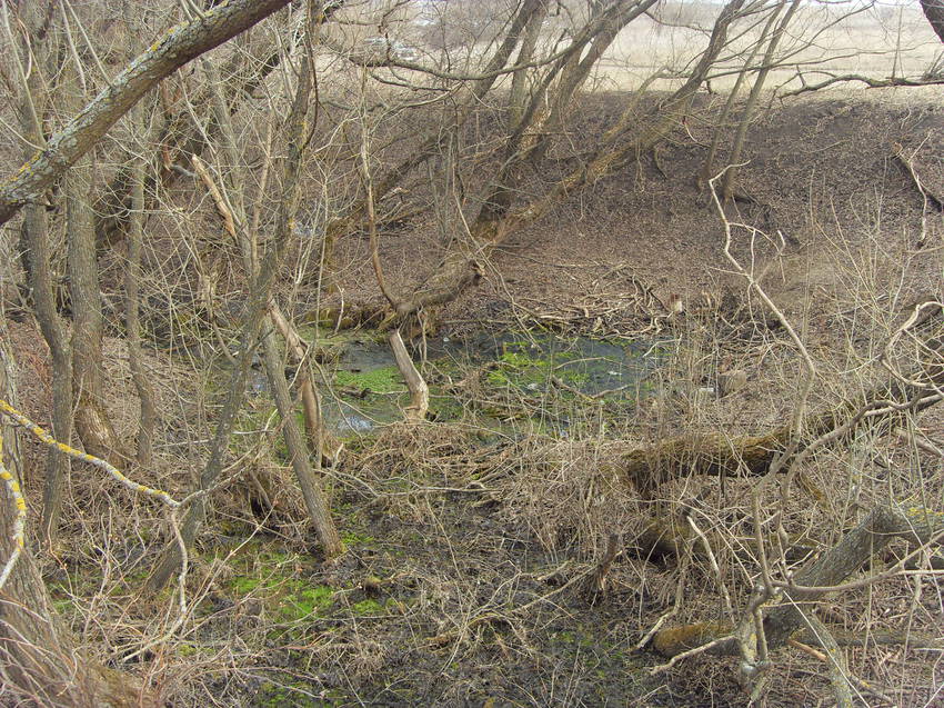 Низина источник питьевой воды