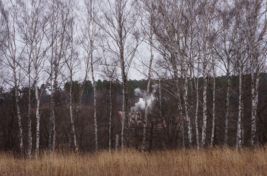 Психиатрическая больница №9