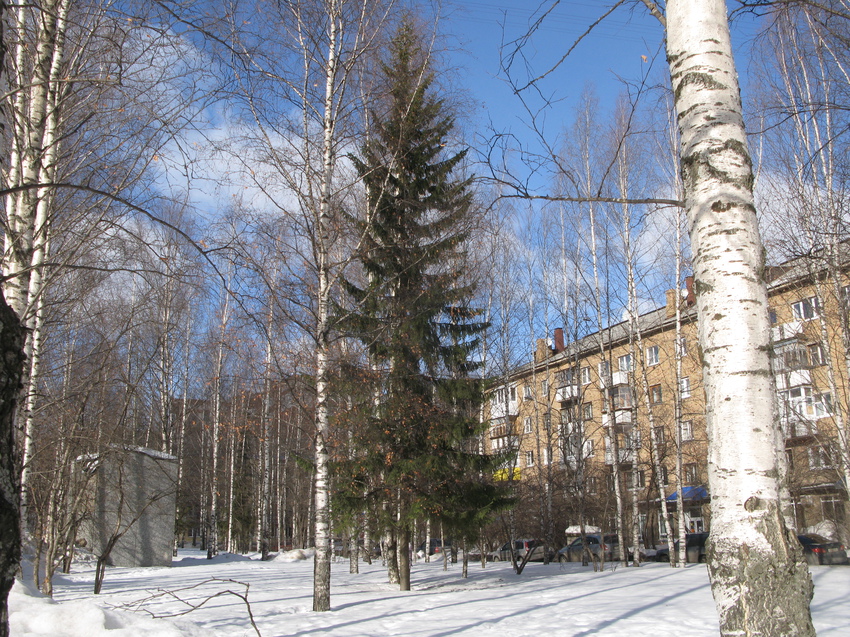 Сыктывкар 2015 - ул. Коммунистическая