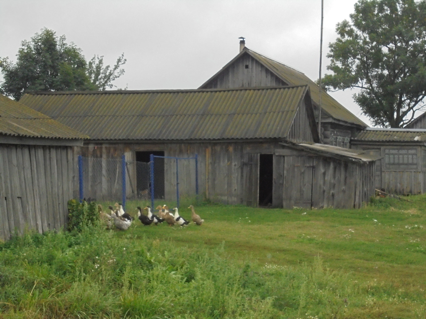 погода гремячее брянская. д. вздружное навлинский район. гремячее навлинский район школа. тульская область село гремячее храм николая чудотворца.