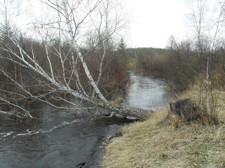 р. Карайка весной